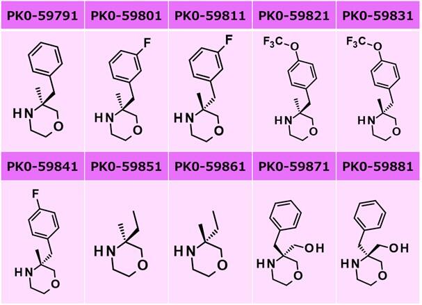 202604morpholine compounds.jpg