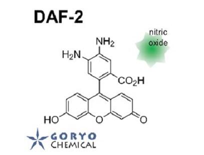 NOFluor™ Series(一酸化窒素(NO)応答性蛍光プローブ) | 五稜化薬