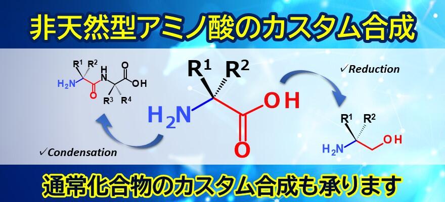 なつページ AMBIDEX Store ○〇透かし編みベスト(F クロ): FLAT-cic-HATENA