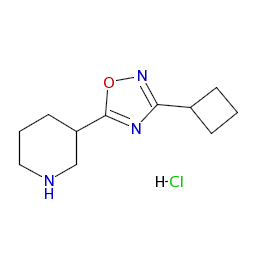 3－（3－シクロブチル－1，2，4－オキサジアゾール－5－イル）ピペリジン塩酸塩 製品情報 キシダ化学株式会社