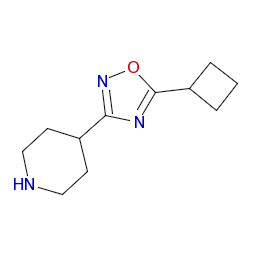 4-(5-シクロブチル-1,2,4-オキサジアゾール-3-イル)ピペリジン 製品情報 キシダ化学株式会社