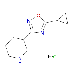 3-(5-シクロプロピル-1,2,4-オキサジアゾール-3-イル)ピペリジン塩酸塩 製品情報 キシダ化学株式会社