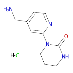 P.IZANAGI 株分子株 1－［4－（アミノメチル）ピリジン－2－イル］－1，3－ジアジナン