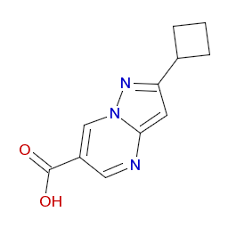 2－シクロブチルピラゾロ[1，5－a]ピリミジン－6－カルボン酸 製品情報 キシダ化学株式会社