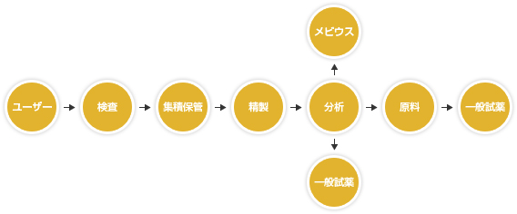 システムフローチャート